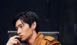 魏晨明星大爆料最新消息,揭秘娱乐圈不为人知的秘密与真相