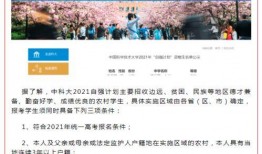 兴国学生爆料事件视频,真相与反思