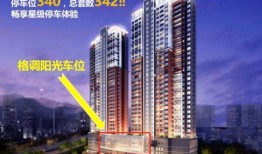 深圳罗湖东湖区最新爆料,揭秘东湖区发展新篇章