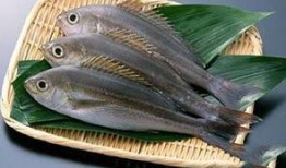 新闻爆料海鱼视频播放大全,海量精彩瞬间大盘点