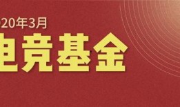 最新动态爆料网站,揭秘网站爆料背后的真相与影响