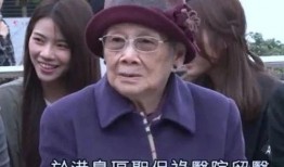 刘生爆料梅艳芳视频播放,重温经典瞬间