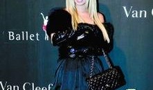 圈子名媛爆料视频大全,视频大全揭秘不为人知的幕后故事