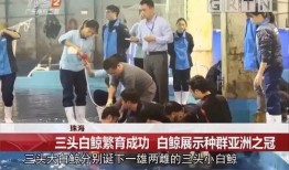 南方电视台新闻爆料,重大新闻事件背后真相揭晓