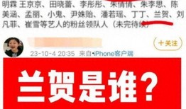 卓伟爆料任嘉伦成毅视频,卓伟独家视频揭秘幕后真相