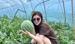 瓜田里免费吃瓜,免费吃瓜乐无边