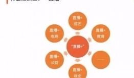 懂得又如何在线观看,在线观看全攻略揭秘