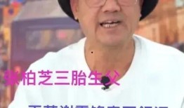 吃瓜娱乐圈在职娱记,吃瓜娱记的职场风云录