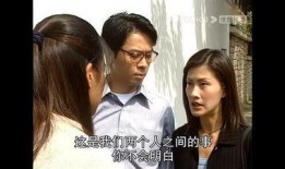 在线观看国语鉴证实录2,古董鉴宝风云再起