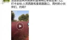 淄博网红爆料最新消息今天,今日热点事件大盘点！”