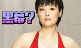 袁丽爆料娱乐圈视频大全,娱乐圈幕后真相大曝光