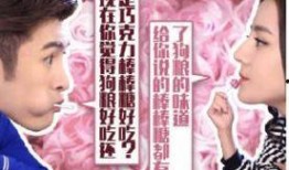 傲娇与偏见电影在线观看,浪漫喜剧中的甜蜜碰撞与智慧对决