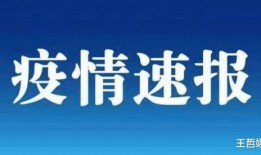 珠海爆料最新消息疫情通报,多区域调整防控措施，市民需加强防护