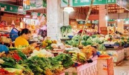 深圳菜市场爆料事件最新,食品安全问题引发公众关注