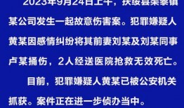 扶绥县最新爆料新闻视频,视频揭露惊人真相，事件详情曝光！