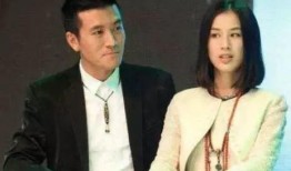 杨子前妻黄圣依爆料视频,惊人爆料引热议