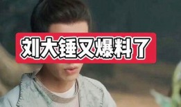 刘大锤爆料杨紫视频,揭秘明星幕后生活片段