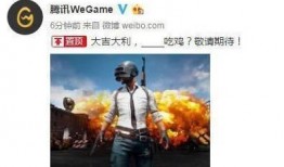 新年吃鸡爆料视频下载,视频揭秘全新玩法与惊喜