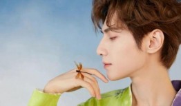 圈内爆料八卦罗云熙,揭秘娱乐圈背后的风云人物