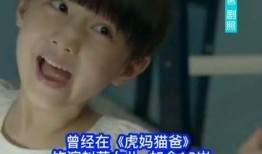 主播爆料里的猫爸爸是娱乐圈的谁,娱乐圈神秘人物竟是...