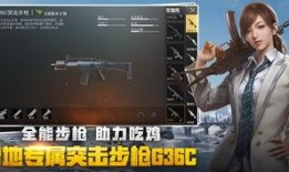 绝地求生小伙爆料视频,揭秘游戏幕后真相