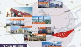 深圳韩大伟爆料事件最新消息,最新进展及影响揭秘