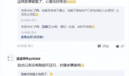 长春顺丰爆料事件视频,揭秘快递行业内部乱象