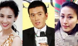 杨子前妻黄圣依爆料视频,惊人爆料引热议