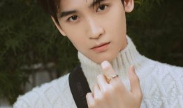 黄俊捷事件女方爆料视频,揭露惊人真相