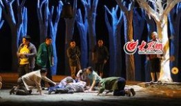 《枫》在线观看,穿越时空的浪漫邂逅