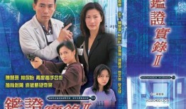 在线观看国语鉴证实录2,古董鉴宝风云再起
