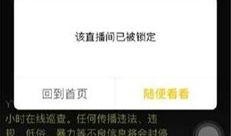 关于焦哥的爆料视频播放,精彩瞬间与幕后故事