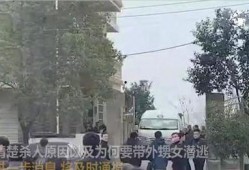 襄阳大院爆料事件视频最新,真相揭露与网络舆论风暴