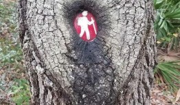 爆料新冠离奇死亡了吗视频,视频爆料背后的真相