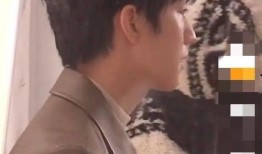 狗仔爆料王俊凯视频,狗仔偷拍背后的真相揭秘