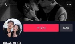 狗子今日爆料视频下载,今日热点事件深度解析