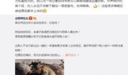 香港网络爆料事件最新,揭秘背后真相与影响