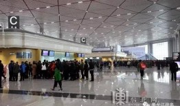 哈尔滨机场最新爆料,揭秘神秘扩建计划与未来展望