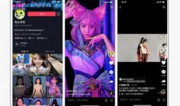 网红的爆料视频大全集在线观看,揭秘网络热点背后的真相