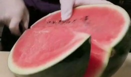 ks网红吃瓜,KS平台上的热门事件深度剖析