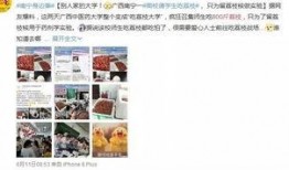 最新流口水爆料新闻报道,最新流口水爆料，娱乐圈惊天大事件曝光！