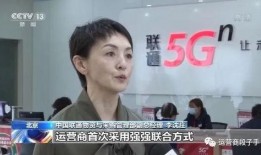 东莞大岭山李姐爆料新闻,揭露惊人内幕，引发社会关注