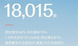 极氪销售爆料最新消息,最新爆料揭示惊人销售数据！
