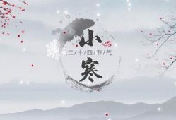 小寒最新爆料视频下载免费,精彩瞬间免费下载