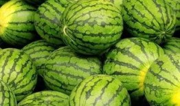 吃瓜网免费吃瓜,尽在吃瓜网！