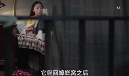 爆料孩子夭折视频大全集,令人痛心的孩子夭折视频大全集