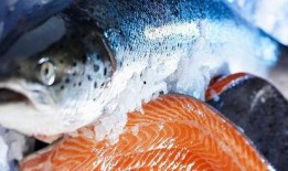 新闻爆料海鱼视频播放大全,海量精彩瞬间大盘点