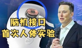 马斯克最近爆料新闻视频,揭秘科技巨头背后的惊人真相！