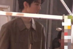 狗仔爆料王俊凯视频,狗仔偷拍背后的真相揭秘