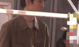 狗仔爆料王俊凯视频,狗仔偷拍背后的真相揭秘